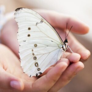 Seelengesang – Wellness für die Seele